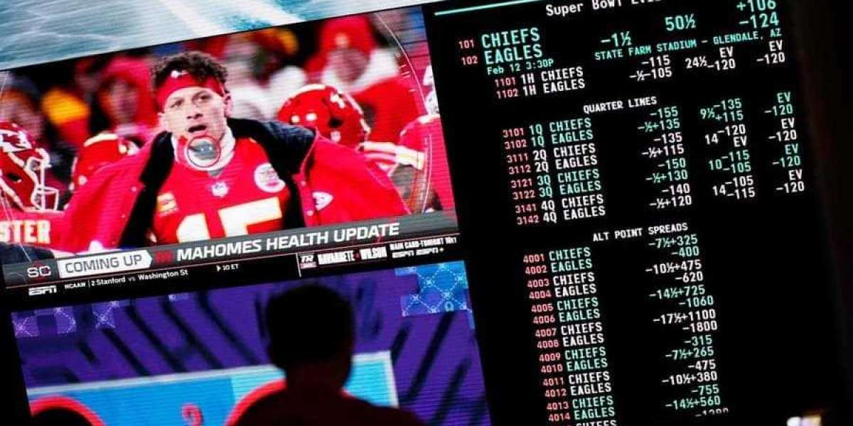 Korean Sports Betting Sites: Where Odds Meet Culture