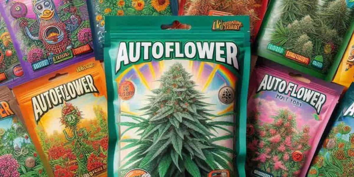 Buying Marijuana Seeds in New Mexico: A Comprehensive Guide